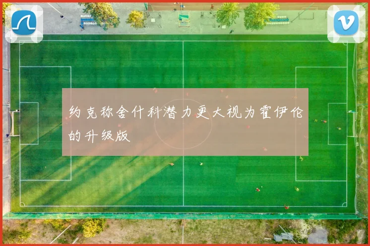 约克称舍什科潜力更大视为霍伊伦的升级版