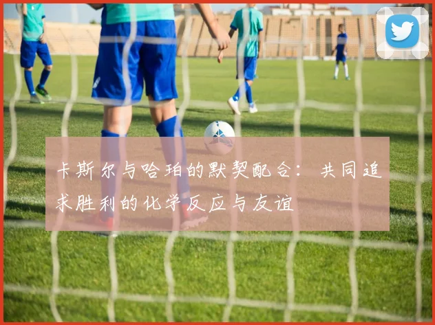 卡斯尔与哈珀的默契配合：共同追求胜利的化学反应与友谊