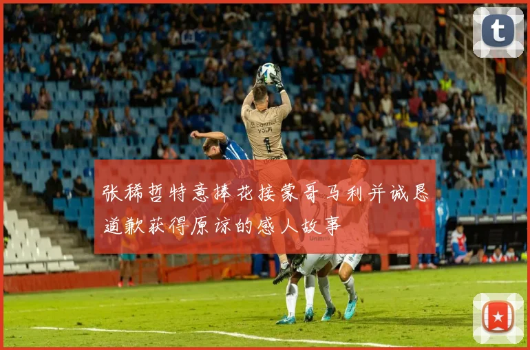 张稀哲特意捧花接蒙哥马利并诚恳道歉获得原谅的感人故事