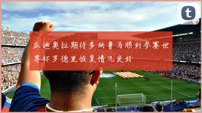 瓜迪奥拉期待多纳鲁马顺利参赛世界杯罗德里恢复情况良好